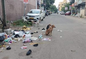 குப்பையால் சுகாதார சீர்கேடு வாகன ஓட்டிகளுக்கும் ஆபத்து
