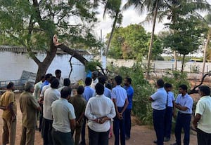 மரக்கிளை முறிந்து மாணவன் பரிதாப மரணம்