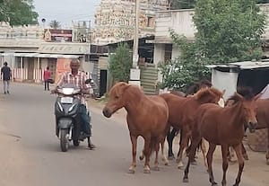 கணபதி ஆர்.கே.புரம் தெருக்களில் கழிவு நீரோட்டம்; பொதுமக்களால் தாங்க முடியவில்லை துர்நாற்றம்