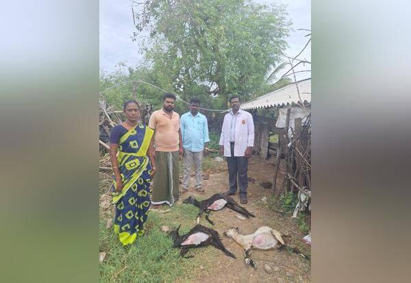 Latest Tamil News