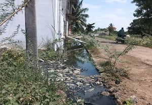 கால்வாய் துார்ந்ததால்  கழிவுநீர் தேங்கும் அவலம்