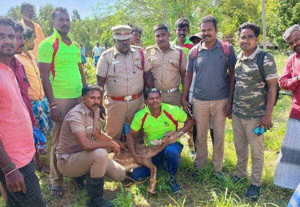 Latest Tamil News