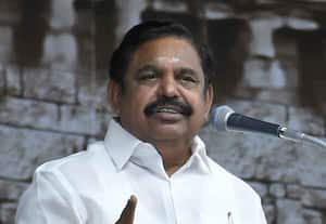 அ.தி.மு.க., பெரும்பான்மையுடன் ஆட்சி அமைக்கும்; இ.பி.எஸ்., பேட்டி