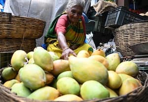 85 வயதிலும் சும்மா இருக்க  மனமில்லை லட்சுமியம்மாவுக்கு!