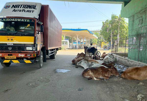 Latest Tamil News