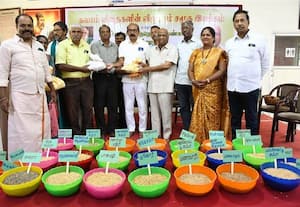 பாரம்பரிய விதை நெல் கண்காட்சி