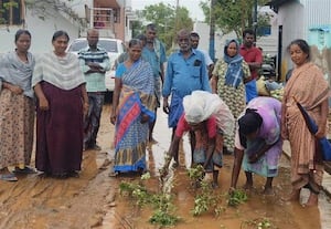 சாலை செப்பனிட கேட்டு நாற்று நடும் போராட்டம்