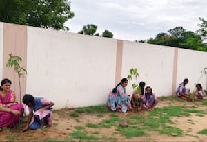 மரக்கன்று நடும் விழா