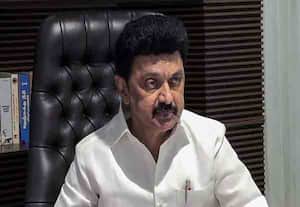 வளர்ச்சியில் முதல் மாநிலமாக உயருவோம்; முதல்வர் ஸ்டாலின் 