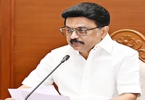 சர்வதேச புலிகள் தினத்தில் தமிழகம் பெருமையுடன் கர்ஜிக்கிறது: முதல்வர் ஸ்டாலின் பெருமிதம் 