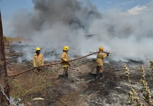 கோடவுனில் தீ விபத்து