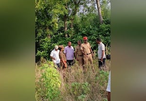 சிறுத்தை நடமாட்டமா?  வனத்துறையினர் ஆய்வு 