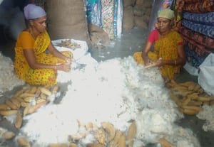 இலவம் பஞ்சு கிலோ ரூ.42 ஆக  விலை குறைந்ததால் விவசாயிகள்  ஏமாற்றம்;   அரசு குறைந்தபட்ச விலை நிர்ணயம்    செய்ய வலியுறுத்தல்