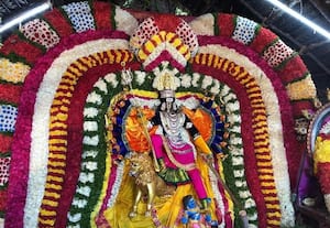 தேன்பாக்கம் காளியம்மன் கோவில் ஆடி திருவிழா விமரிசை
