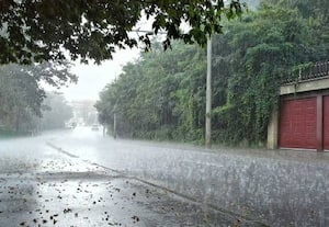 8 மாவட்டங்களில் இன்று கனமழை