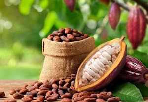 சாக்லேட் கனவை நனவாக்குமா இந்தியா?