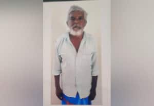 பலாத்கார முயற்சி: முதியவர் கைது
