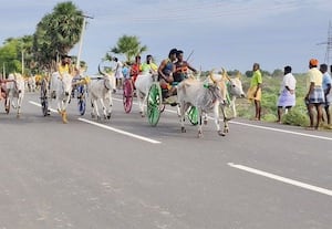 மாட்டுவண்டி பந்தயம்