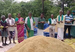 கொள்முதல் செய்த நெல்மணிகள் முளைப்பு; தஞ்சையில் விவசாயிகள் கண்ணீர்!