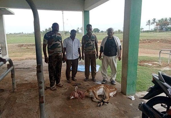 Latest Tamil News