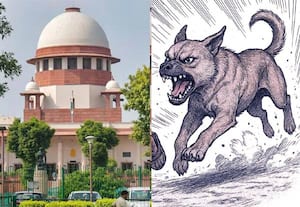 தெருநாய்களை அப்புறப்படுத்தும் விவகாரம்: 3 நீதிபதிகள் அமர்வு நாளை விசாரணை