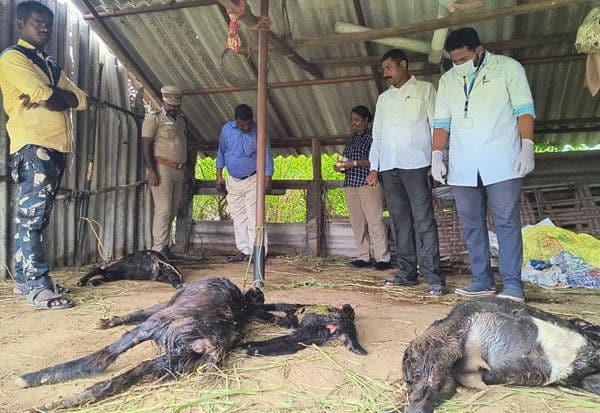 Latest Tamil News