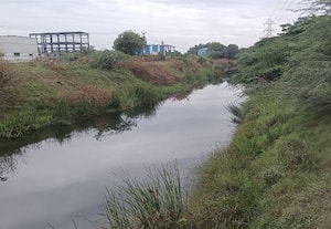 செம்பரம்பாக்கம் நீர்வரத்து கால்வாயில் கழிவுநீர் கலப்பு