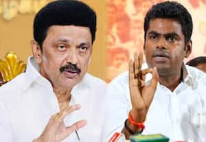 ஊழல்தான் உங்கள் கூட்டணியின் அரசியலமைப்பு; முதல்வருக்கு அண்ணாமலை பதில்