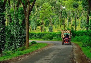 மேற்கு தொடர்ச்சி மலையில் செட்டள்ளி கிராமம்