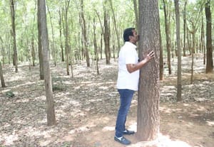 மரங்களுக்கான மாநாடு ஏன் திருத்தணியில் சீமான் விளக்கம்