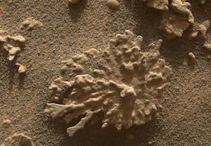 பவள கோளில் பவள பாறை