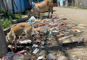 அகற்றப்படாத குப்பையால் மாம்பாக்கத்தில் சுகாதார சீர்கேடு