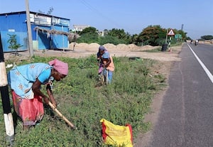 சாலையோரத்தில் வேர்களை தேடும் தொழிலாளர்கள்