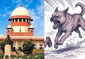 தெரு நாய்களை காப்பகங்களில் அடைக்க தேவையில்லை; சுப்ரீம் கோர்ட் தீர்ப்பு