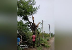மரத்தை வெட்டும் முன் இளகவேண்டும் மனசு