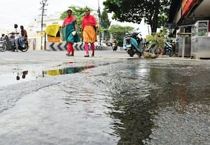 மலைவேம்பு வாசம் வீசும்