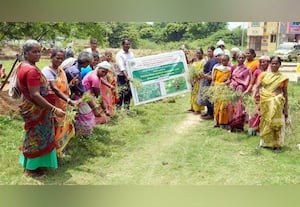 பார்த்தீனியம் செடி குறித்து விவசாயிகளுக்கு விழிப்புணர்வு