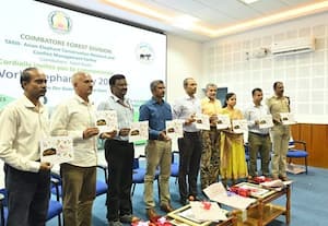 'ஆண்டுக்கு 600 யானைகள் கொல்லப்படுகின்றன'