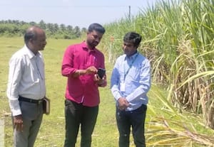 சங்கராபுரத்தில் வேளாண் இணை இயக்குனர் ஆய்வு