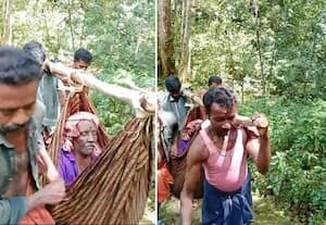 அவசர கிகிச்சை பயணத்துக்கு 'தொட்டில்'; அதுவே ஆம்புலன்ஸ் வால்பாறை காட்டில்!