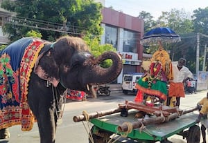 ராமேஸ்வரம் கோயிலில் விநாயகர் வீதியுலா