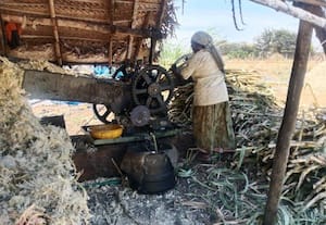 ஓணம் பண்டிகைக்காக உற்பத்தியான வெல்லம் தேக்கம்; விலையும் சரிவால் கடும் பாதிப்பு