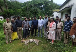 வனப்பகுதியில் மர்மமான முறையில் சிறுத்தை உயிரிழப்பு