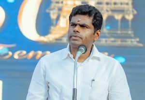 துபாய் முதலீடு என்ன ஆனது? அரசுக்கு அண்ணாமலை கேள்வி