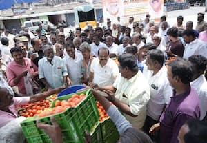 ஒட்டன்சத்திரம் காய்கறி மார்க்கெட்டில் வியாபாரம் துவக்கம்