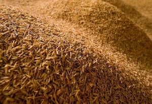 'தவிடு ஏற்றுமதி மீதான தடையை நீக்க வேண்டும்'