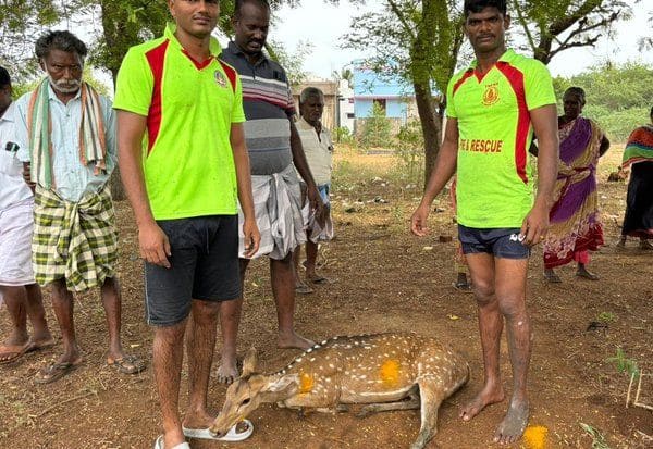 Latest Tamil News