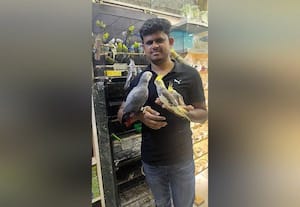  அட, பார்ரா! பறவைகளுக்கும் 'ஹாஸ்டல்'