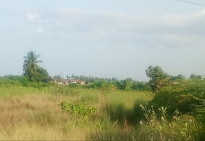 mavattam-main