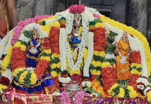 பெருமாள் கோயிலில் ஆவணி  விழா திருக்கல்யாணம்